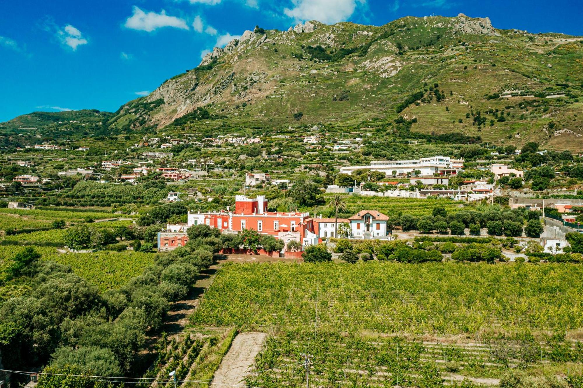 Tenuta Calitto Wine Resort E Spa Ischia Exterior foto