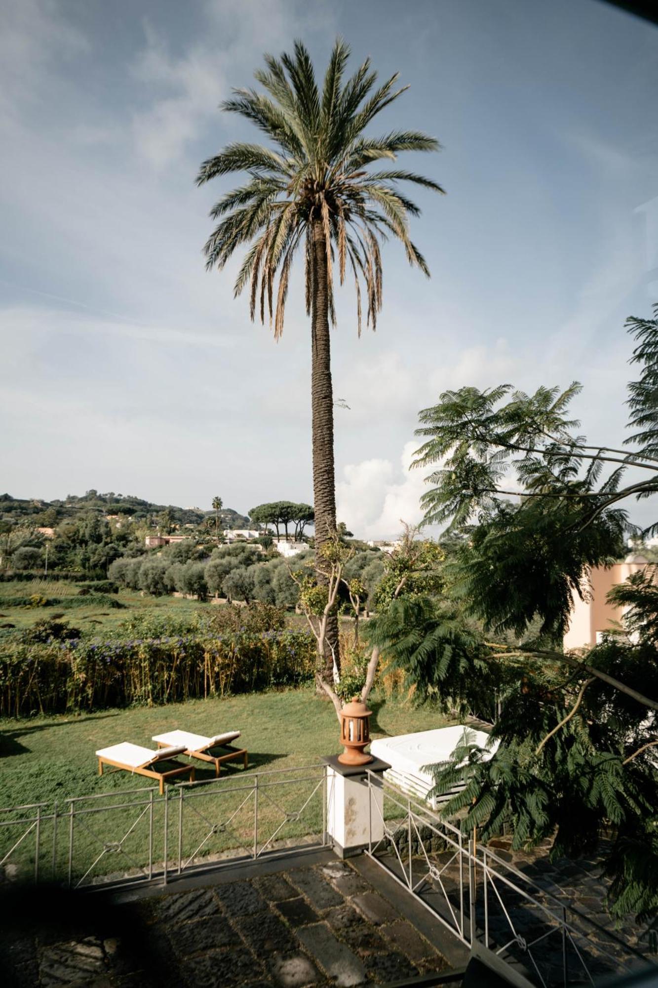 Tenuta Calitto Wine Resort E Spa Ischia Exterior foto