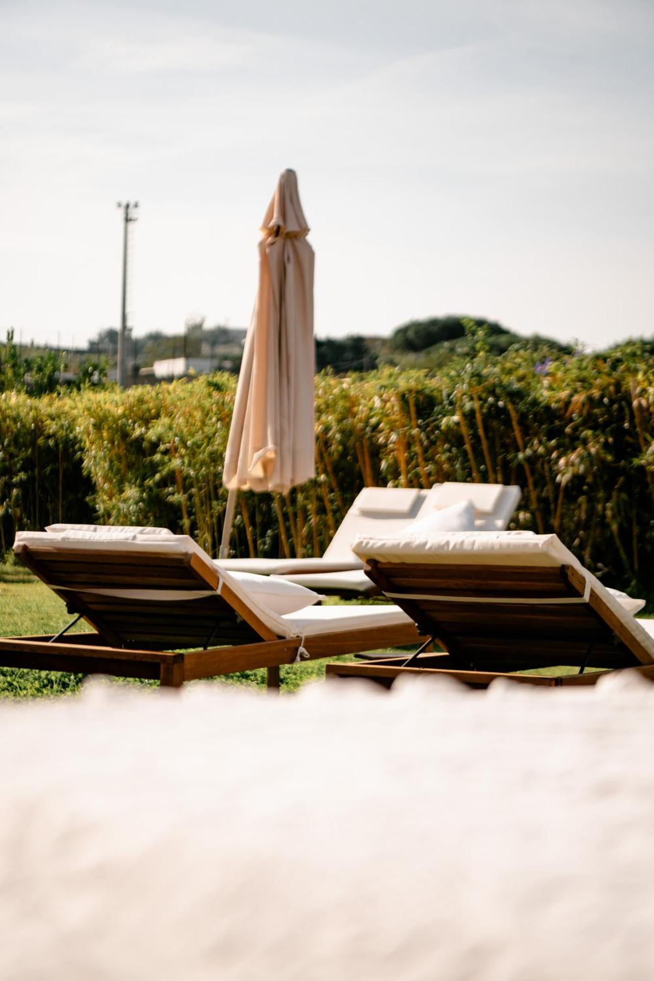 Tenuta Calitto Wine Resort E Spa Ischia Exterior foto